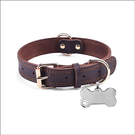 Bone & Paw Pet ID Tag